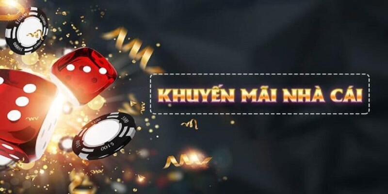 khuyến mãi thành viên mới