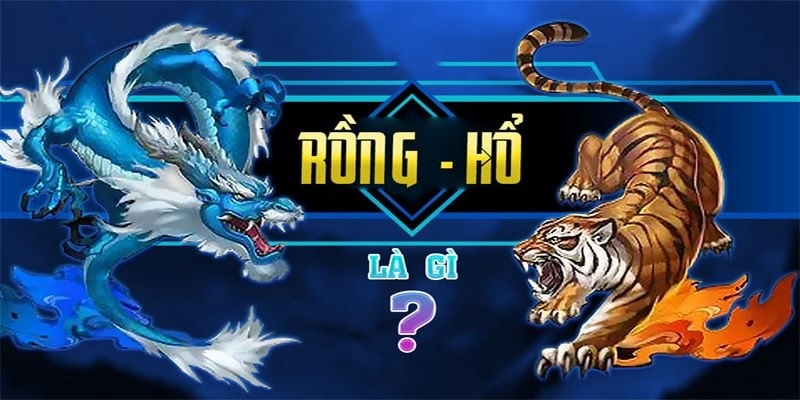 rồng hổ 77bet